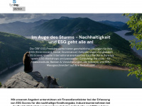 synesgy.ch Webseite Vorschau
