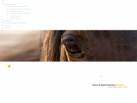 horse-wisdom.com Webseite Vorschau