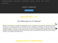 wallerwelt2.com Webseite Vorschau