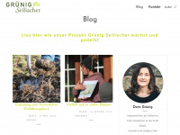 seiliacher.ch Webseite Vorschau