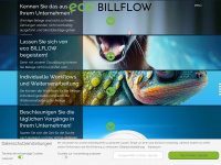 eco-billflow.de Webseite Vorschau
