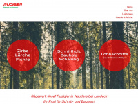 saegewerk-rudigier.at Webseite Vorschau