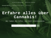 cannabis-meister.de Webseite Vorschau