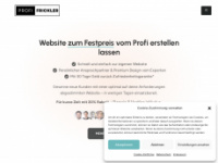 profi-frickler.de Webseite Vorschau