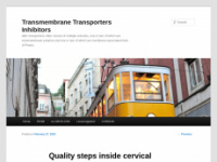 transmembranetransporters-inhibitors.com