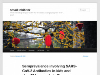 smad-inhibitor.com Webseite Vorschau