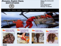 norwegian-seafoodsupply.com Webseite Vorschau