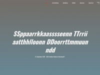 sparkassen-triathlon-dortmund.de Webseite Vorschau