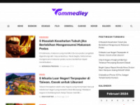 tommedley.com Webseite Vorschau