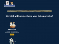 bruegmannshof.de Webseite Vorschau