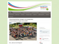 ems-freiburg.de Webseite Vorschau