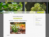 littleweb.de Webseite Vorschau