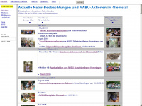 glemstal-archiv.info Webseite Vorschau