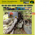 greizer-bonsaifreunde.de Webseite Vorschau