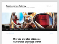 topoisomerasepathway.com