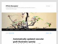 pp2a-receptor.com Webseite Vorschau