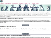 hirnschlaghilfe-schweiz.ch Webseite Vorschau