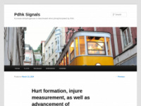 pdhksignals.com Webseite Vorschau