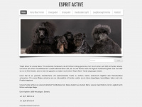 esprit-active.ch Webseite Vorschau