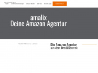 amalix-consulting.com Webseite Vorschau