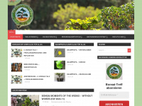 bonsai-treff.com Webseite Vorschau