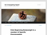 E2conjugating-signal.com