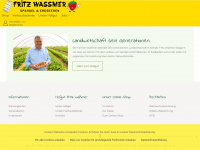 wassmer-spargel-erdbeeren.de Webseite Vorschau