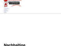 holger-ostendorf.com Webseite Vorschau