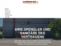 schoenholzer-ag.ch Webseite Vorschau
