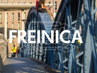 freinica.de Webseite Vorschau