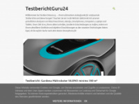 testberichtguru24.blogspot.com Webseite Vorschau