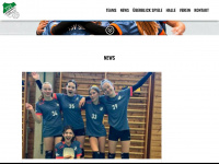 volleyball-siegsdorf.de Webseite Vorschau
