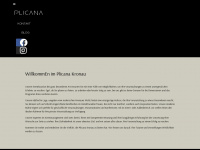 plicana.de Webseite Vorschau