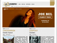 mosaik-promotion.de Webseite Vorschau