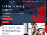 wewior-ubezpieczenia.pl