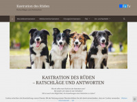 kastrationhund.de Webseite Vorschau