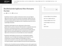 ipliksanayi.com.tr Webseite Vorschau