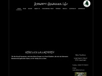 airsoft-assassins.de Webseite Vorschau