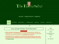 kleinsteins-institut.de Webseite Vorschau