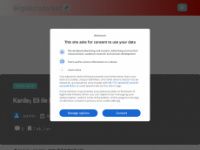bilgiburada.net Webseite Vorschau