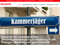 brummer-schaedlingsbekaempfung.de Webseite Vorschau