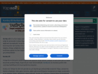 yapisor.com Webseite Vorschau