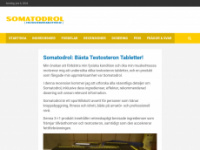 testosterontabletter.se Webseite Vorschau