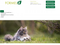 formel-z.info Webseite Vorschau
