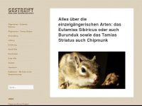 gestreift.info Webseite Vorschau
