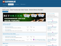 slotforumlari.net Webseite Vorschau