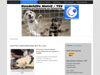 hundehilfe-motril.com