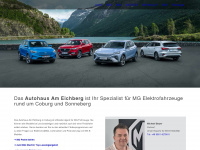 mg-coburg.de Webseite Vorschau