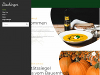 bischinger.com Webseite Vorschau