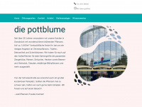 pottblume.de Webseite Vorschau